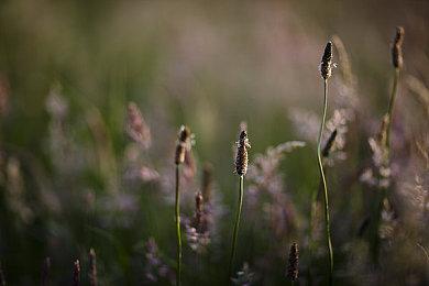 管理不善预算削减 造成《魔兽争霸3：重制版》的失败